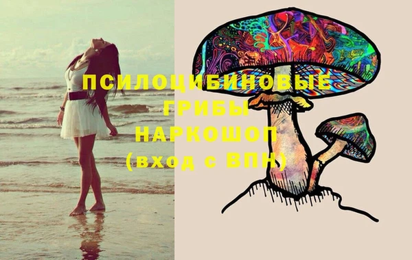 ПСИЛОЦИБИНОВЫЕ ГРИБЫ Аркадак