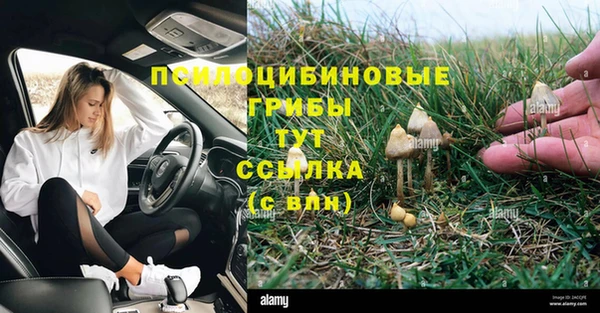 ешки Арсеньев