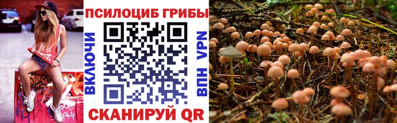 Галлюциногенные грибы прущие грибы  цена наркотик  Николаевск 