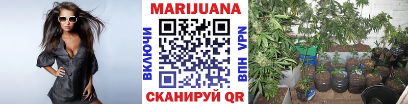 Бошки марихуана тримм  mega сайт  Николаевск 